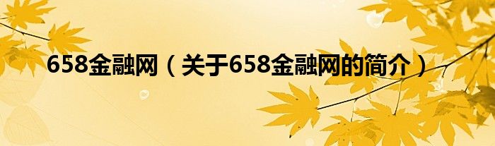 658金融網(wǎng)（關(guān)于658金融網(wǎng)的簡介）