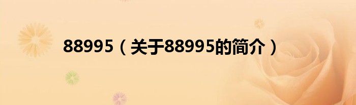 88995（關(guān)于88995的簡介）