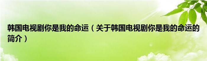 韓國電視劇你是我的命運（關(guān)于韓國電視劇你是我的命運的簡介）