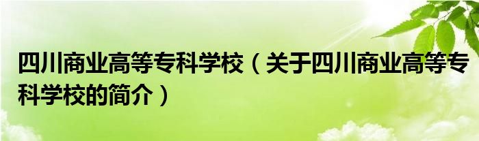 四川商業(yè)高等專科學(xué)校（關(guān)于四川商業(yè)高等?？茖W(xué)校的簡(jiǎn)介）