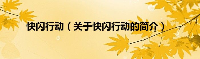 快閃行動(dòng)（關(guān)于快閃行動(dòng)的簡(jiǎn)介）