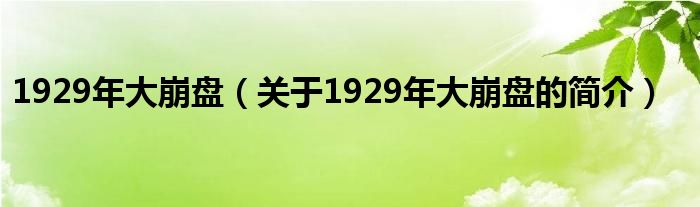 1929年大崩盤（關(guān)于1929年大崩盤的簡介）