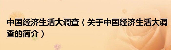 中國(guó)經(jīng)濟(jì)生活大調(diào)查（關(guān)于中國(guó)經(jīng)濟(jì)生活大調(diào)查的簡(jiǎn)介）