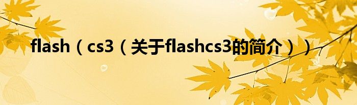 flash（cs3（關(guān)于flashcs3的簡介））