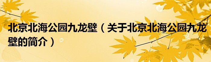 北京北海公園九龍壁（關(guān)于北京北海公園九龍壁的簡(jiǎn)介）