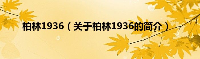 柏林1936（關(guān)于柏林1936的簡(jiǎn)介）