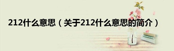 212什么意思（關(guān)于212什么意思的簡介）