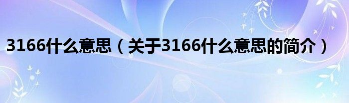 3166什么意思（關(guān)于3166什么意思的簡介）