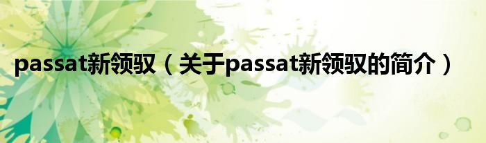 passat新領(lǐng)馭（關(guān)于passat新領(lǐng)馭的簡介）