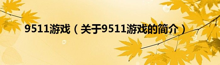 9511游戲（關(guān)于9511游戲的簡介）