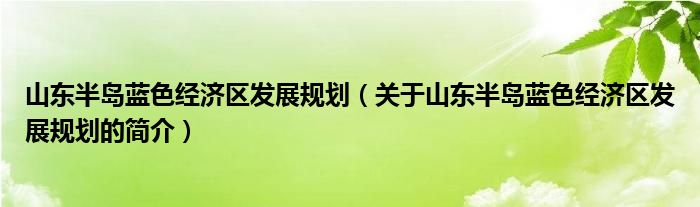 山東半島藍色經(jīng)濟區(qū)發(fā)展規(guī)劃（關(guān)于山東半島藍色經(jīng)濟區(qū)發(fā)展規(guī)劃的簡介）