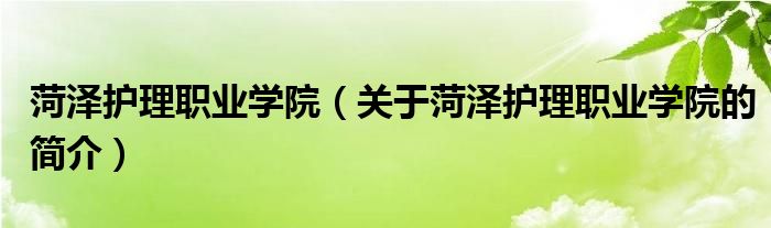 菏澤護(hù)理職業(yè)學(xué)院（關(guān)于菏澤護(hù)理職業(yè)學(xué)院的簡介）