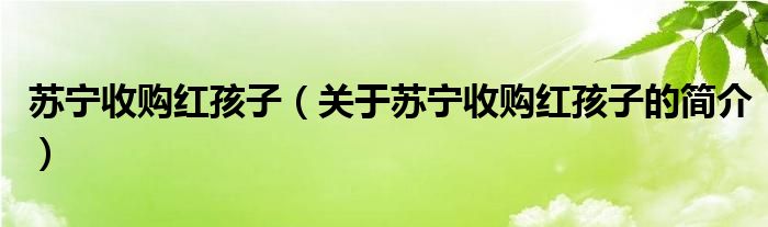 蘇寧收購紅孩子（關(guān)于蘇寧收購紅孩子的簡介）