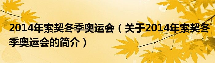 2014年索契冬季奧運(yùn)會（關(guān)于2014年索契冬季奧運(yùn)會的簡介）