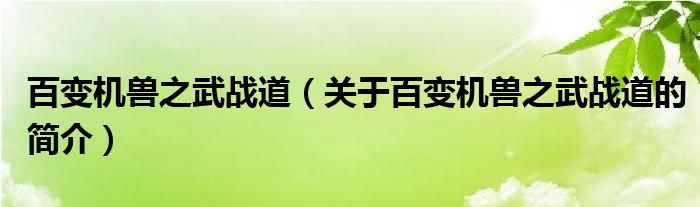 百變機(jī)獸之武戰(zhàn)道（關(guān)于百變機(jī)獸之武戰(zhàn)道的簡介）