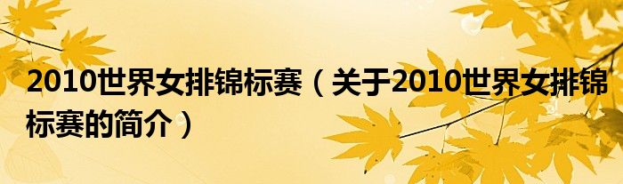 2010世界女排錦標賽（關(guān)于2010世界女排錦標賽的簡介）