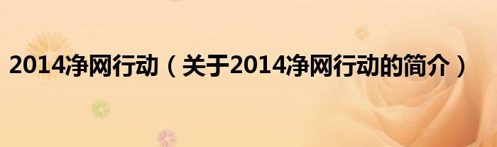 2014凈網(wǎng)行動(dòng)（關(guān)于2014凈網(wǎng)行動(dòng)的簡(jiǎn)介）