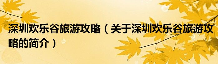 深圳歡樂(lè)谷旅游攻略（關(guān)于深圳歡樂(lè)谷旅游攻略的簡(jiǎn)介）