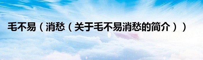 毛不易（消愁（關(guān)于毛不易消愁的簡(jiǎn)介））