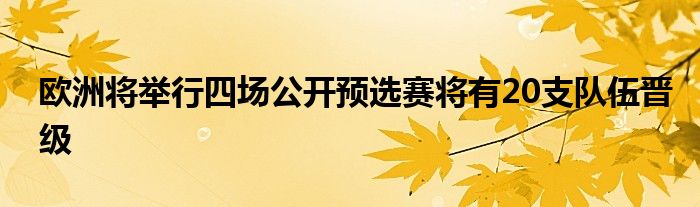 歐洲將舉行四場公開預(yù)選賽將有20支隊(duì)伍晉級(jí)