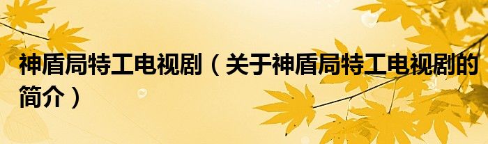 神盾局特工電視?。P(guān)于神盾局特工電視劇的簡介）