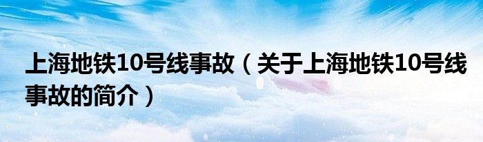 上海地鐵10號線事故（關于上海地鐵10號線事故的簡介）