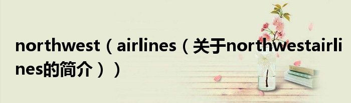 northwest（airlines（關(guān)于northwestairlines的簡(jiǎn)介））