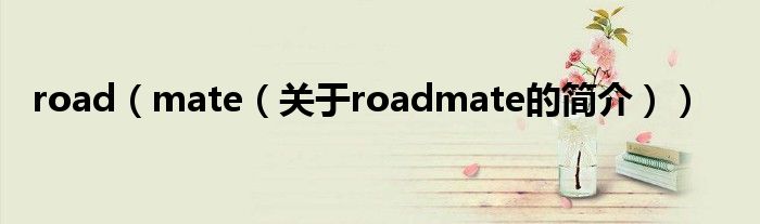 road（mate（關(guān)于roadmate的簡(jiǎn)介））