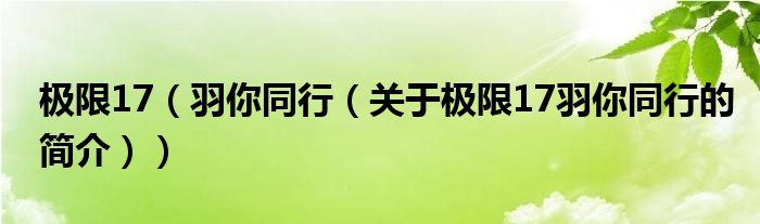 極限17（羽你同行（關(guān)于極限17羽你同行的簡介））