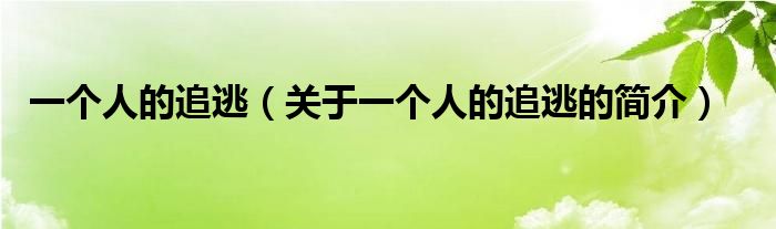 一個(gè)人的追逃（關(guān)于一個(gè)人的追逃的簡介）