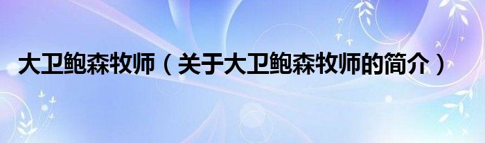 大衛(wèi)鮑森牧師（關(guān)于大衛(wèi)鮑森牧師的簡(jiǎn)介）