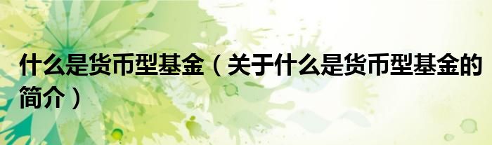 什么是貨幣型基金（關(guān)于什么是貨幣型基金的簡介）