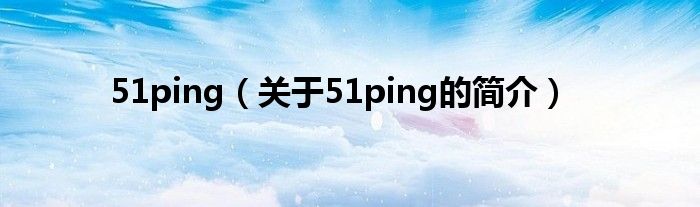 51ping（關(guān)于51ping的簡介）