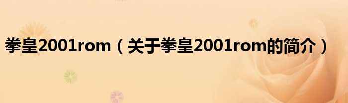 拳皇2001rom（關于拳皇2001rom的簡介）