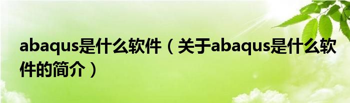 abaqus是什么軟件（關(guān)于abaqus是什么軟件的簡介）