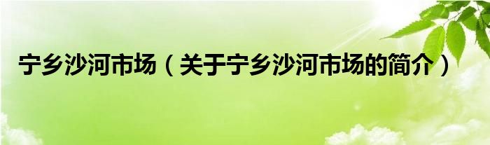 寧鄉(xiāng)沙河市場（關(guān)于寧鄉(xiāng)沙河市場的簡介）