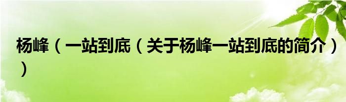 楊峰（一站到底（關(guān)于楊峰一站到底的簡介））