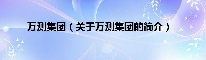 萬測集團（關(guān)于萬測集團的簡介）