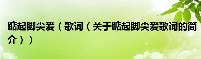 踮起腳尖愛（歌詞（關(guān)于踮起腳尖愛歌詞的簡(jiǎn)介））