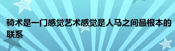 騎術(shù)是一門感覺(jué)藝術(shù)感覺(jué)是人馬之間最根本的聯(lián)系