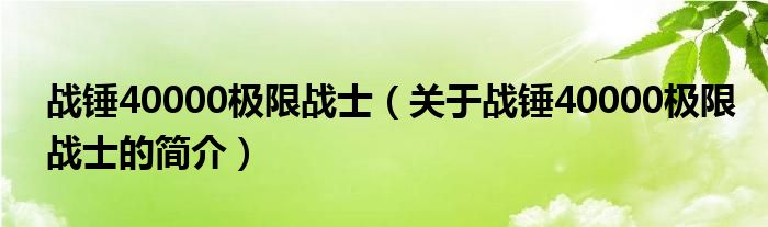 戰(zhàn)錘40000極限戰(zhàn)士（關(guān)于戰(zhàn)錘40000極限戰(zhàn)士的簡介）