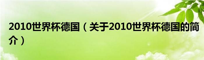 2010世界杯德國(guó)（關(guān)于2010世界杯德國(guó)的簡(jiǎn)介）