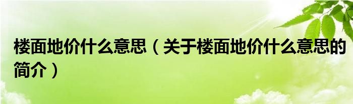 樓面地價什么意思（關于樓面地價什么意思的簡介）