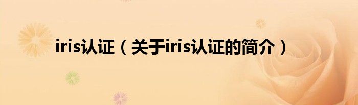 iris認(rèn)證（關(guān)于iris認(rèn)證的簡介）