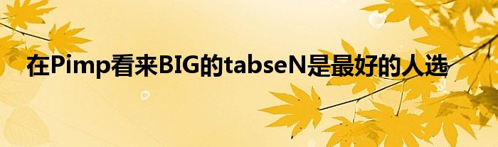 在Pimp看來BIG的tabseN是最好的人選