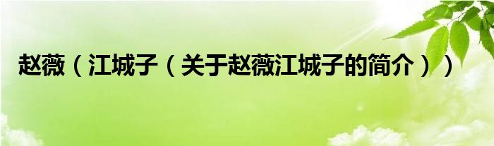 趙薇（江城子（關(guān)于趙薇江城子的簡(jiǎn)介））