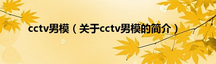 cctv男模（關(guān)于cctv男模的簡(jiǎn)介）