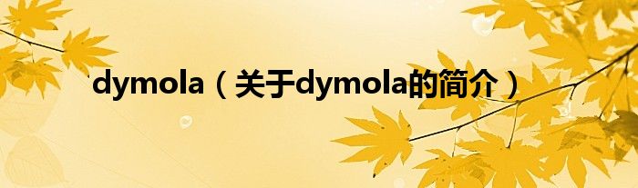 dymola（關(guān)于dymola的簡(jiǎn)介）