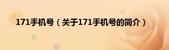 171手機號（關于171手機號的簡介）