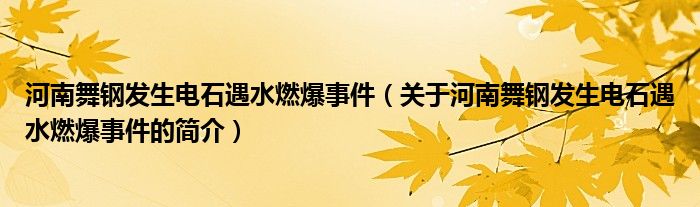 河南舞鋼發(fā)生電石遇水燃爆事件（關(guān)于河南舞鋼發(fā)生電石遇水燃爆事件的簡介）